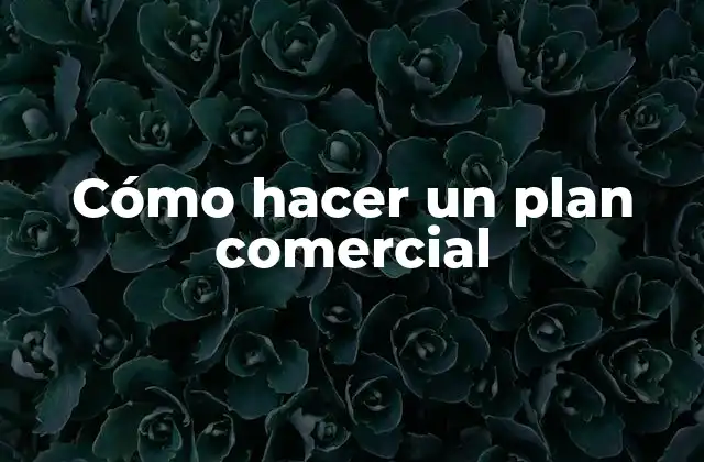 ¿Qué es un plan comercial y para qué sirve?