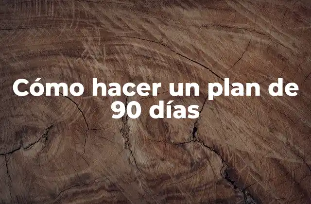 Cómo hacer un plan de 90 días