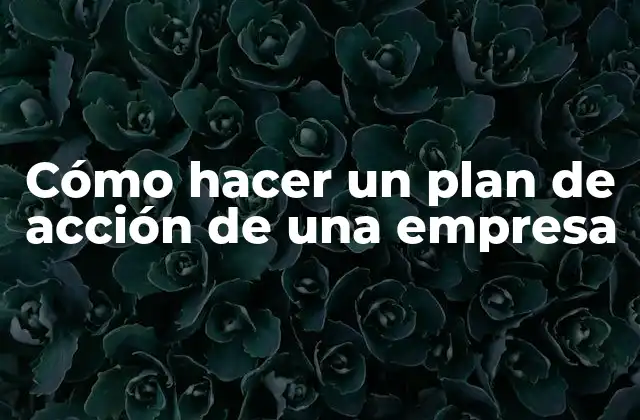 Cómo Hacer un Plan de Acción de una Empresa