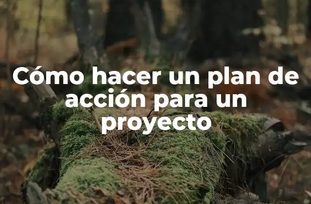 Cómo Hacer un Plan de Acción para un Proyecto