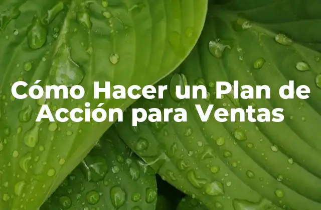 Cómo Hacer un Plan de Acción para Ventas