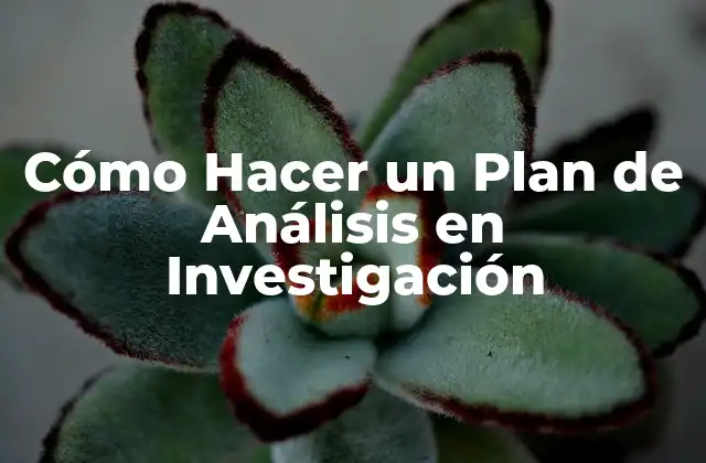 Cómo Hacer un Plan de Análisis en Investigación