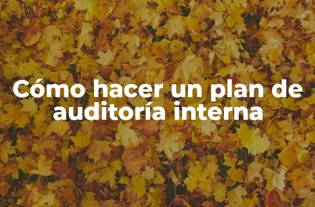 Cómo Hacer un Plan de Auditoría Interna