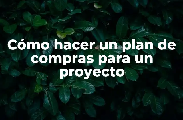 Cómo Hacer un Plan de Compras para un Proyecto