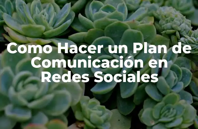 Como Hacer un Plan de Comunicación en Redes Sociales