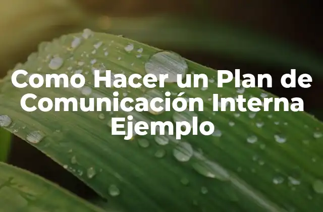 Como Hacer un Plan de Comunicación Interna Ejemplo