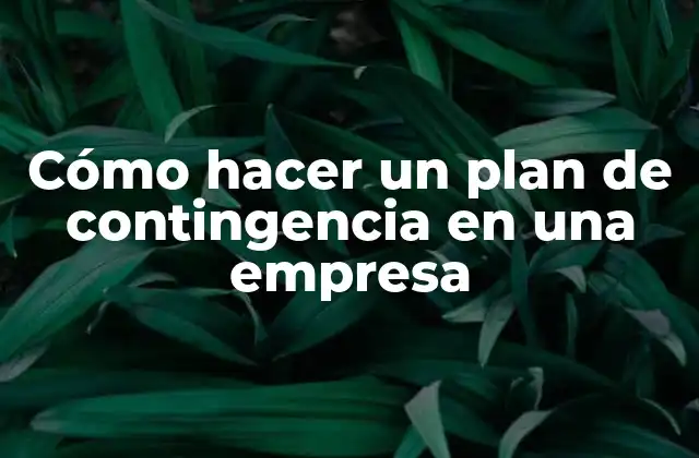 Cómo Hacer un Plan de Contingencia en una Empresa