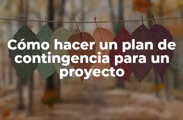 Cómo Hacer un Plan de Contingencia para un Proyecto