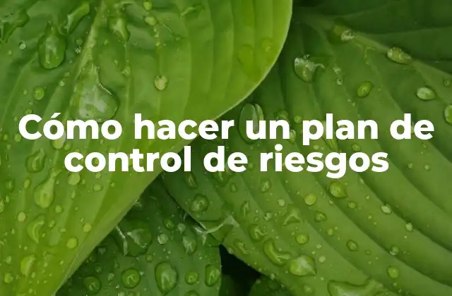 Cómo Hacer un Plan de Control de Riesgos