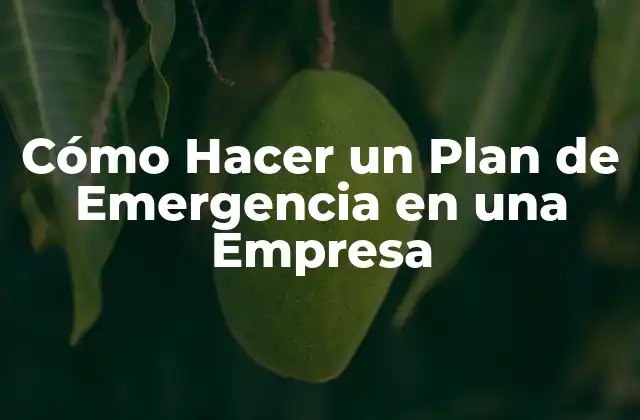 Cómo Hacer un Plan de Emergencia en una Empresa