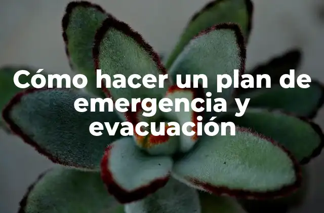 Cómo Hacer un Plan de Emergencia y Evacuación
