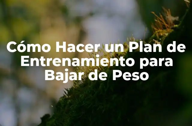 Cómo Hacer un Plan de Entrenamiento para Bajar de Peso