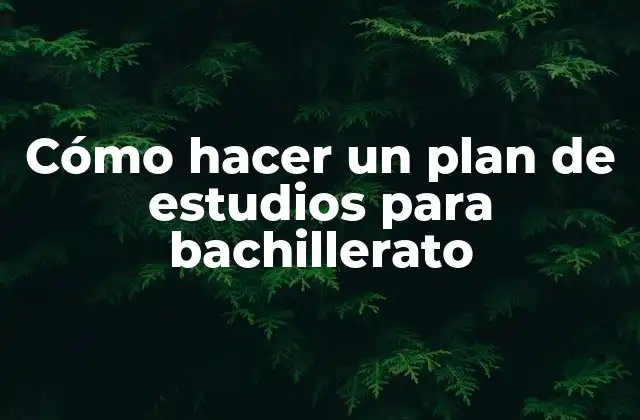 Cómo Hacer un Plan de Estudios para Bachillerato