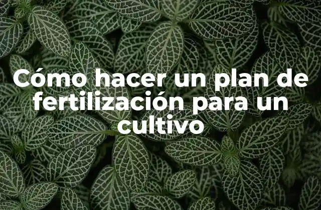 Cómo Hacer un Plan de Fertilización para un Cultivo