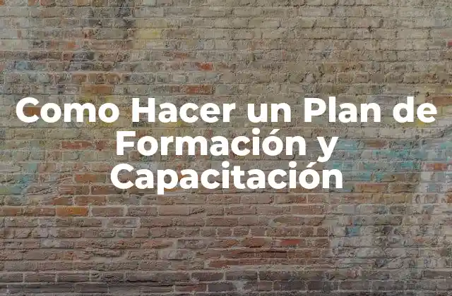 Como Hacer un Plan de Formación y Capacitación