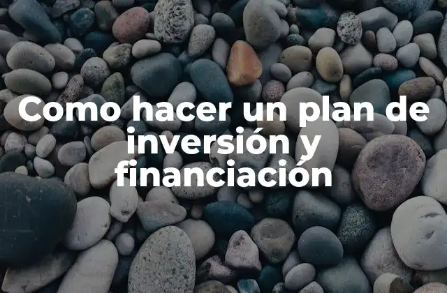 Como Hacer un Plan de Inversión y Financiación