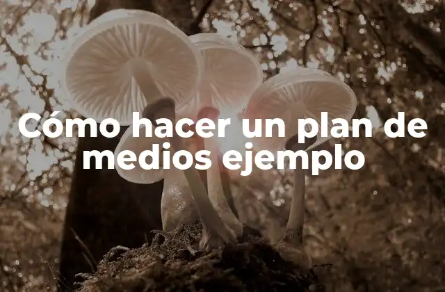 Cómo Hacer un Plan de Medios Ejemplo 2 Cómo hacer un plan de medios ejemplo