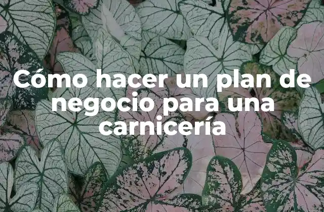 Cómo Hacer un Plan de Negocio para una Carnicería