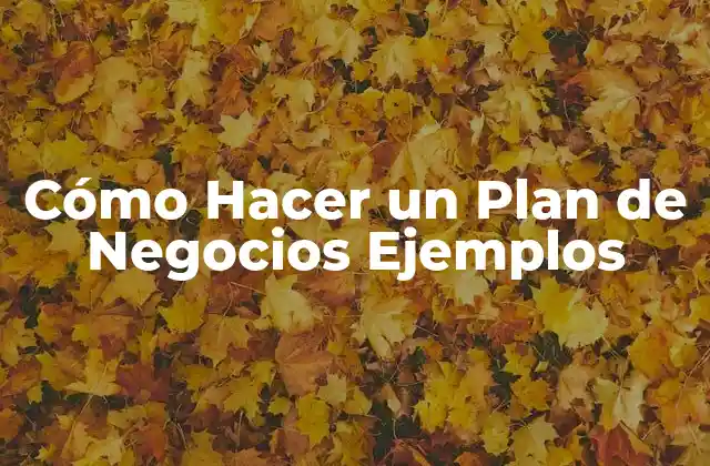 Cómo Hacer un Plan de Negocios Ejemplos