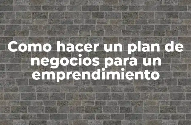 Como Hacer un Plan de Negocios para un Emprendimiento