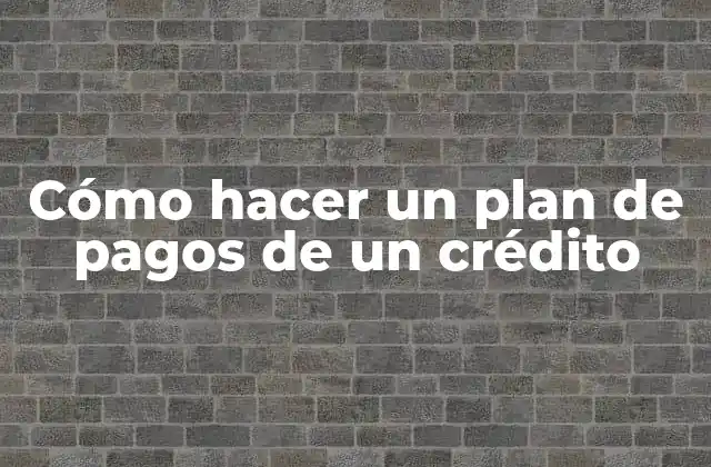 Cómo Hacer un Plan de Pagos de un Crédito