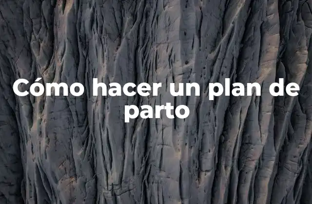 ¿Qué es un plan de parto?