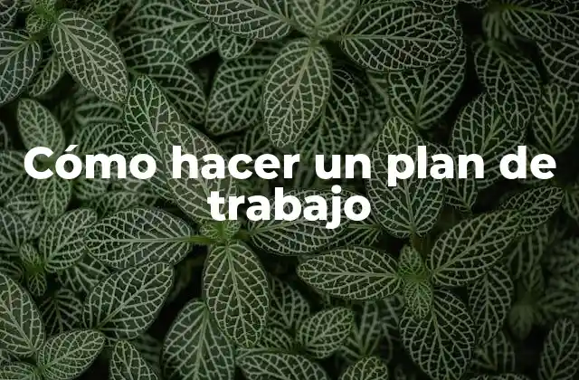 Cómo Hacer un Plan de Trabajo 2 Cómo hacer un plan de trabajo