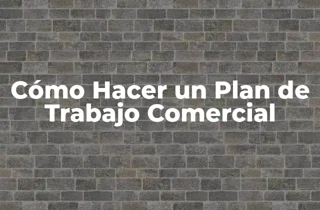 Cómo Hacer un Plan de Trabajo Comercial