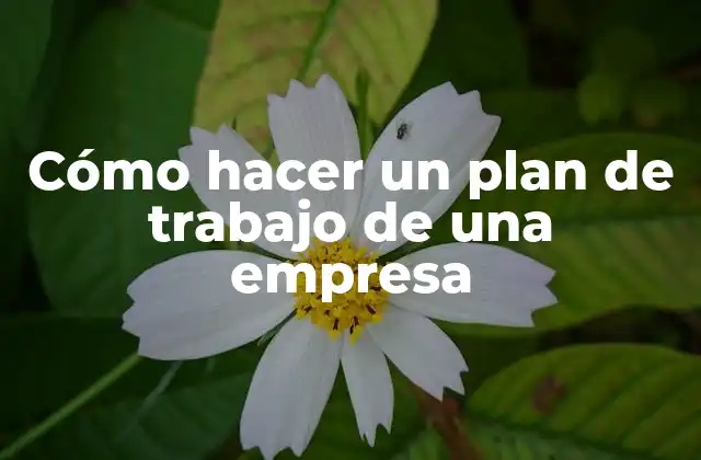 Cómo Hacer un Plan de Trabajo de una Empresa