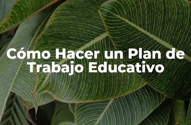 Cómo Hacer un Plan de Trabajo Educativo