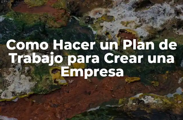 Como Hacer un Plan de Trabajo para Crear una Empresa