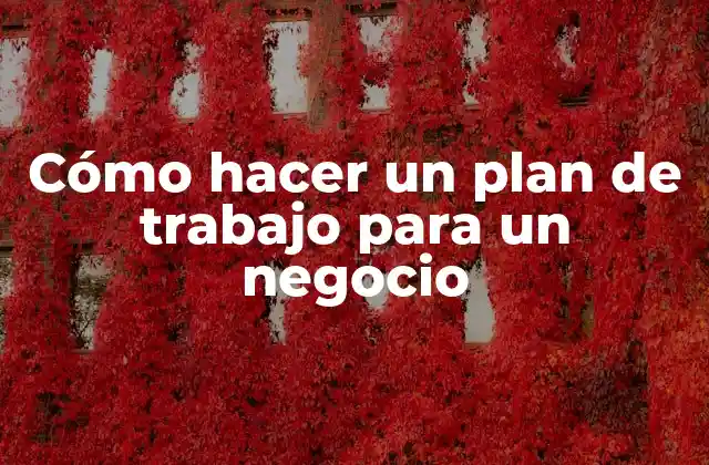 Cómo Hacer un Plan de Trabajo para un Negocio
