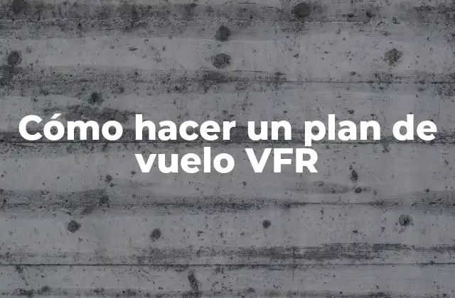 Cómo Hacer un Plan de Vuelo Vfr