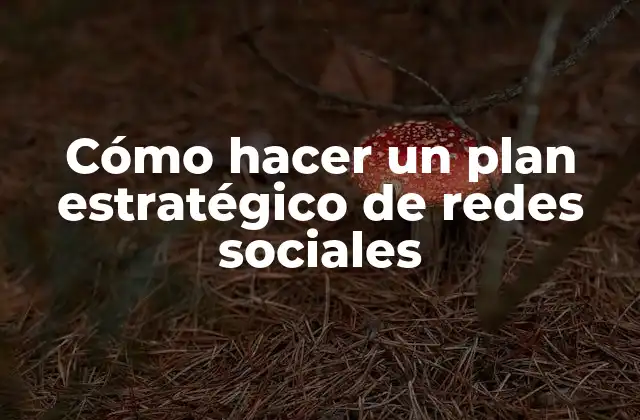 Cómo Hacer un Plan Estratégico de Redes Sociales
