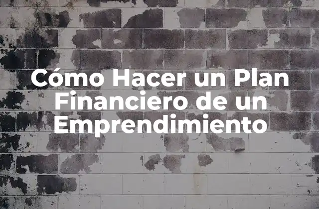 Cómo Hacer un Plan Financiero de un Emprendimiento