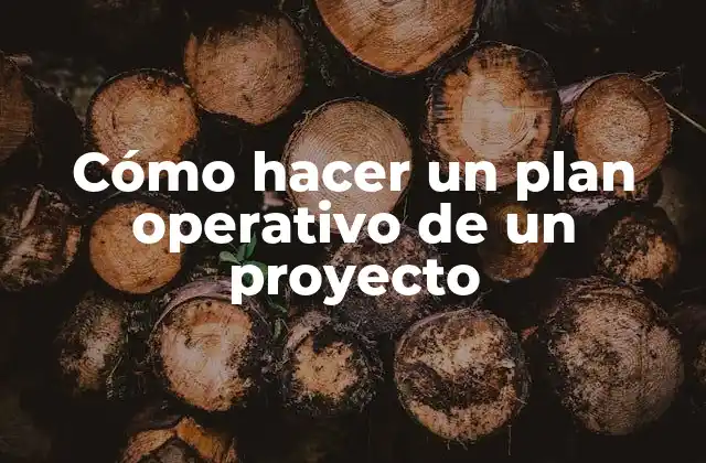 Cómo Hacer un Plan Operativo de un Proyecto