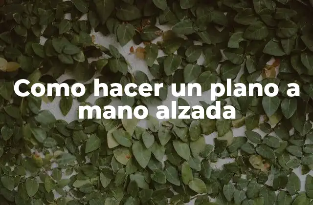 Como Hacer un Plano a Mano Alzada