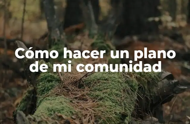 Cómo Hacer un Plano de Mi Comunidad