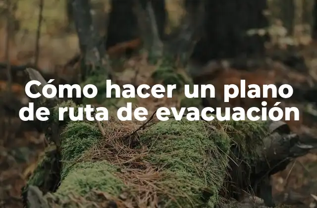Cómo Hacer un Plano de Ruta de Evacuación