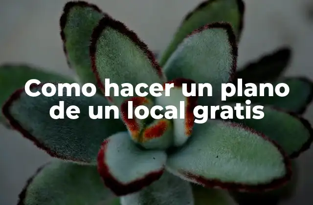 Como Hacer un Plano de un Local Gratis