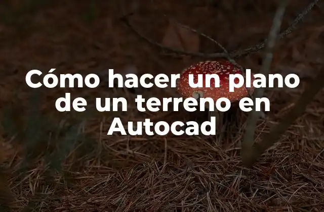 Cómo Hacer un Plano de un Terreno en Autocad