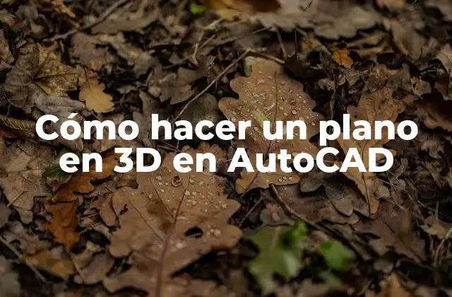 Cómo Hacer un Plano en 3d en Autocad