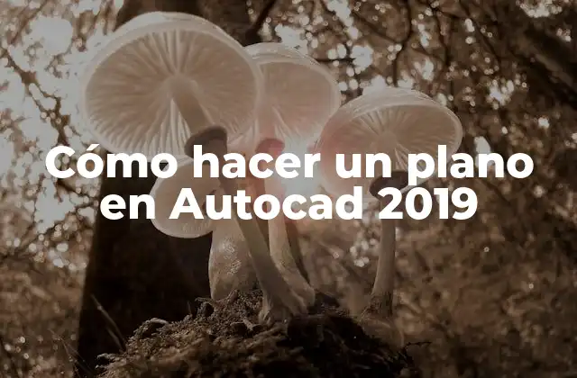 Cómo Hacer un Plano en Autocad 2019