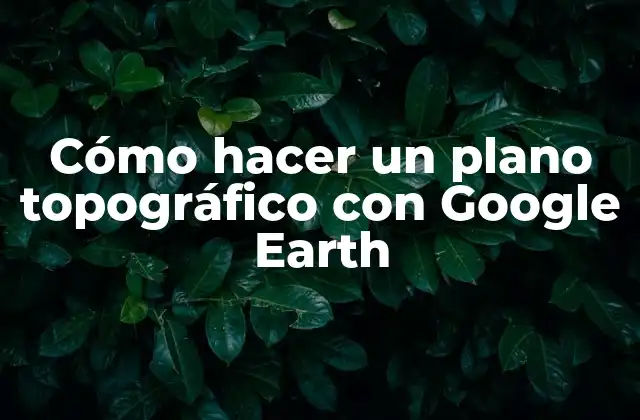 Cómo Hacer un Plano Topográfico con Google Earth