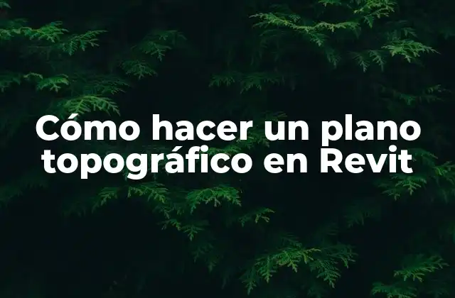 Cómo Hacer un Plano Topográfico en Revit