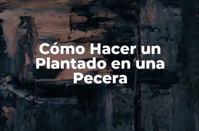 Cómo Hacer un Plantado en una Pecera