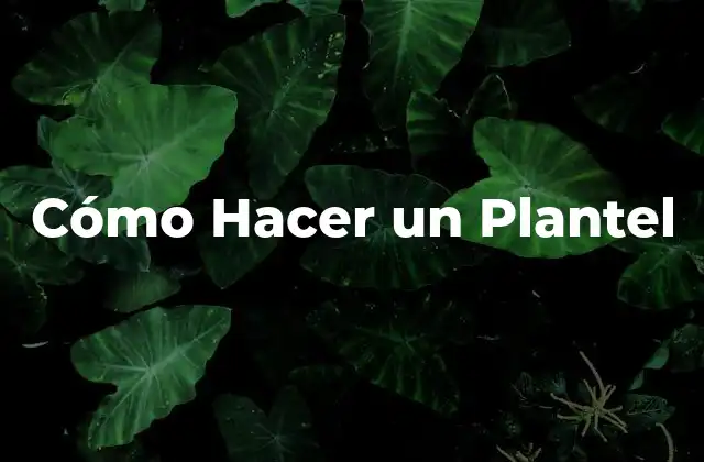 Cómo Hacer un Plantel