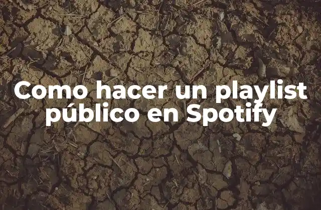 Como Hacer un Playlist Público en Spotify