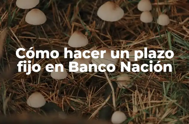 Cómo Hacer un Plazo Fijo en Banco Nación