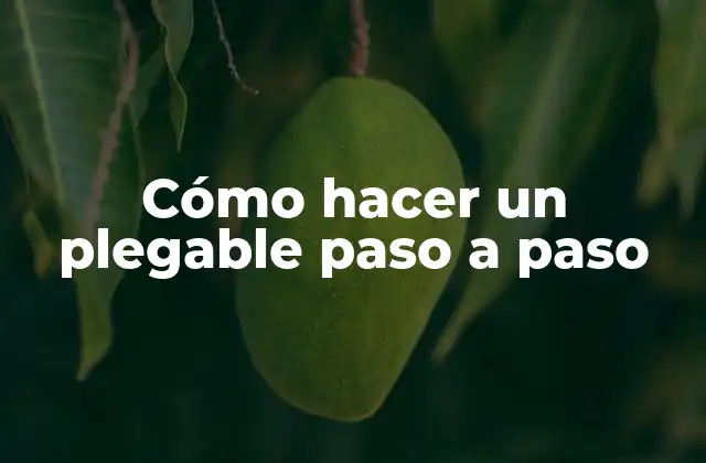 Cómo Hacer un Plegable Paso a Paso